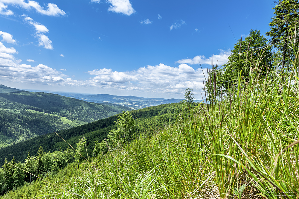 Pohled z Mračné na Černavu a Troják. V pozadí údolí Branné.